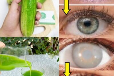 Refresh Your Vision: A Daily Cucumber Elixir for Enhanced Eyesight
