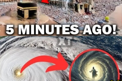 Jesus Warned Us! Are We Living in the LAST DAYS? Hurricane Milton and the Book of Revelation