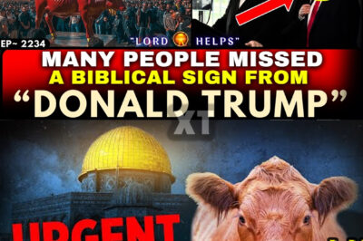 WAS THIS EVENT A BIBLICAL SIGN FROM GOD?👆Bible Prophetic Word Today