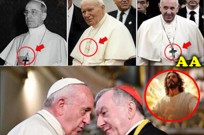 THE MOST HIDDEN SECRET OF THE CATHOLIC POPES | WAS PETER THE FIRST CATHOLIC PRIEST?