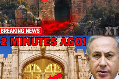 This Gate Sealed Until Jesus’s Return Has Strangely Opened Up!