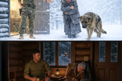 Homeless Grandma & Dog in a Blizzard—What This Navy SEAL Did Shocked Everyone