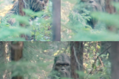 THIS Is The Clearest Bigfoot Footage From 2026, Story Behind It Will Terrify You – Sasquatch Story