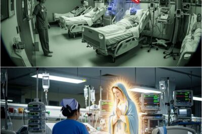 🇺🇸🇺🇸🇺🇸Virgin Mary in the ICU? Nurse Sees Woman Next to Patient… Cameras Show NO ONE There