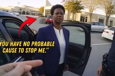 Officer Calls Backup on Black Woman Parking — She’s a State Supreme Court Justice