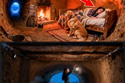 They Mocked Her For Building a Hidden Underground Shelter – Until Winter Proved Her Right