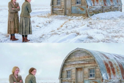 Orphaned at 17, We Bought a Frozen Shed for $40 – What We Built Saved the Whole Town