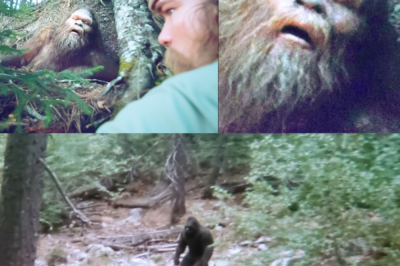 Where Are All Bigfoot Bodies? Here’s Why We Can’t Find Any Footage of It – Sasquatch Encounter
