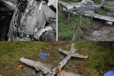 Fighter Pilot Vanished in 1944 — 70 Years Later, Her Plane Was Found Abandoned in a Forest…