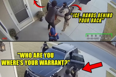 ICE Agents Arrest Black Female Lawyer Without a Warrant, She’s from Texas, Wins $13.4M Lawsuit