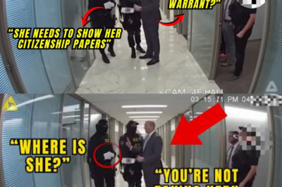 Law Firm Protects Black Female Lawyer from ICE Agents Without Warrant — She Wins $13.7M Lawsuit
