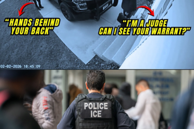 ICE Agents’ Careers Destroyed After Arrest of Black Female Judge in Her Driveway Without a Warrant