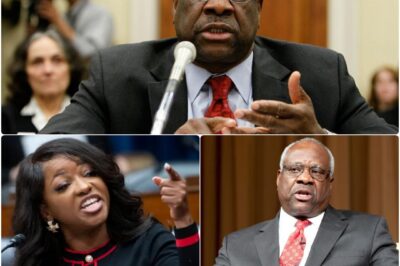Twenty Minutes That Turned the Tide: How a Jasmine Crockett Showdown Sparked a National Debate on Judicial Power