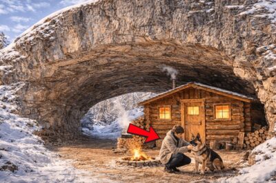They Mocked His Cabin Beneath a Natural Bridge. A Blizzard Turned Him Into Their Only Refuge.